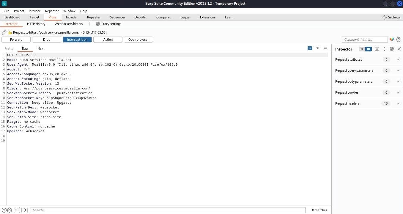 BurpSuite
